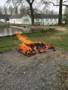 #vuurloop #Vuurlopen #workshop # firewalk